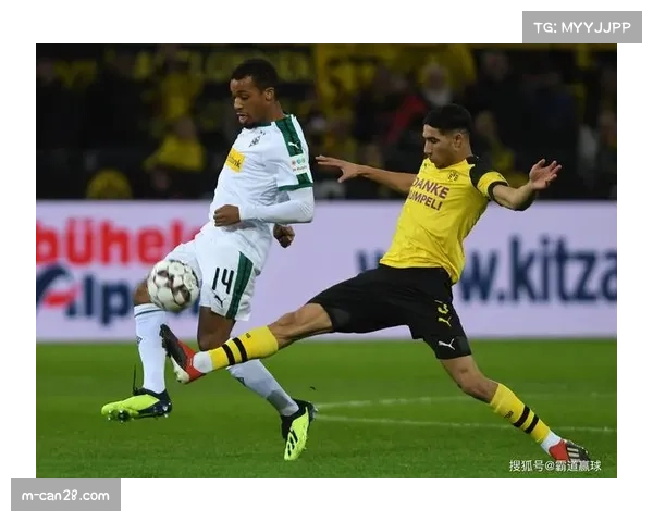 欧足联计划发布站席新规，多特蒙德主场南看台需进行整改